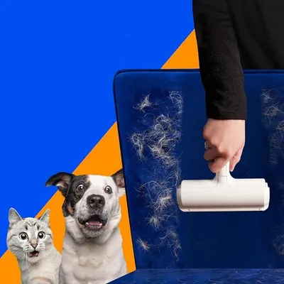 IntiMeg Brosse anti-poils chat et chien