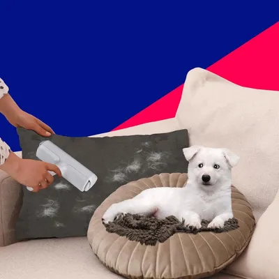 IntiMeg Brosse anti-poils chat et chien