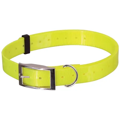 Doogy Collier fluo plein-air Classic Doogy Collier fluo plein-air Classic