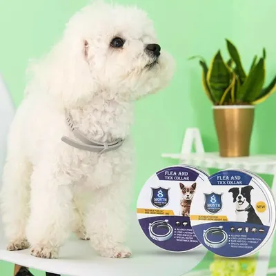 IntiMeg Collier antiparasitaire ajustable