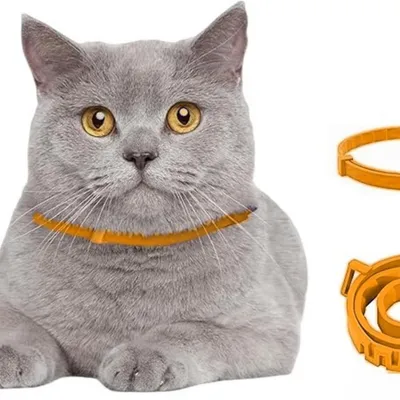 IntiMeg Collier antiparasitaire ajustable