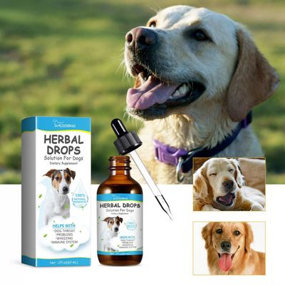 Yegbong Huile essentielle naturelle contre la toux
