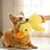 IntiMeg Jouet en peluche pour chien