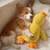 IntiMeg Jouet en peluche pour chien