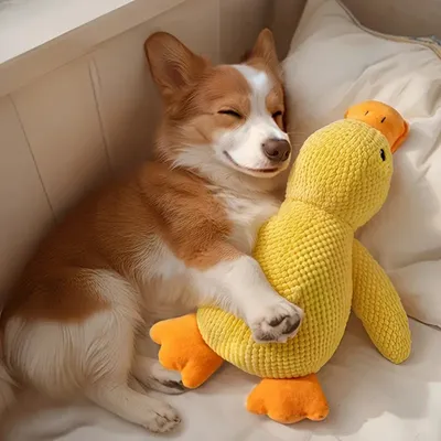 IntiMeg Jouet en peluche pour chien