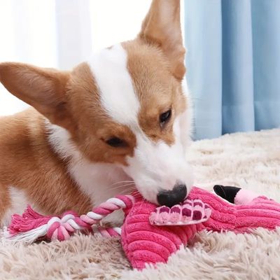 IntiMeg Juguete interactivo para perros con forma de flamenco