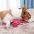 IntiMeg Jouet en peluche pour chien