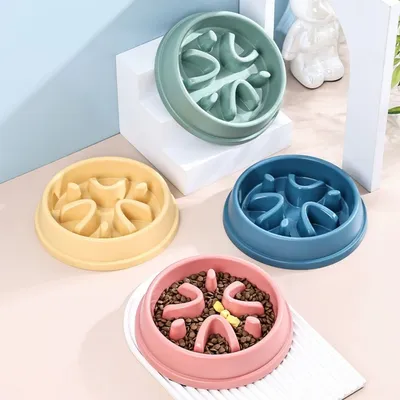 IntiMeg Gamelle anti-glouton pour chien et chat
