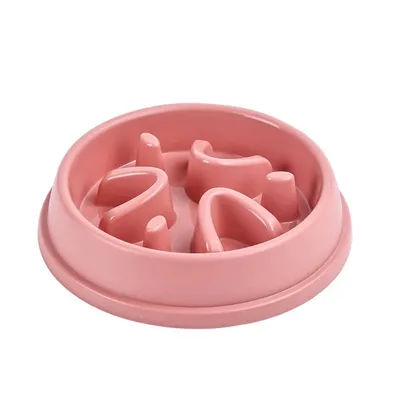 IntiMeg Gamelle anti-glouton pour chien et chat