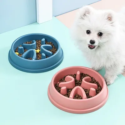 IntiMeg Gamelle anti-glouton pour chien et chat