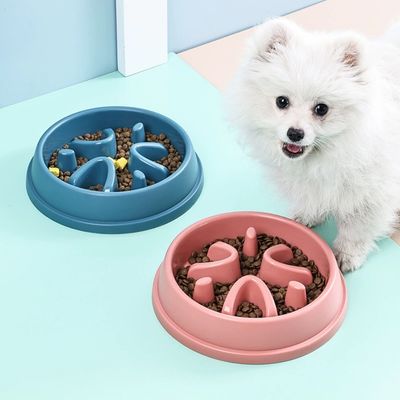 IntiMeg Gamelle anti-glouton pour chien et chat