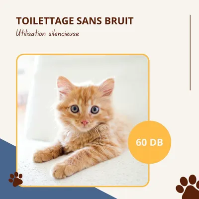 Oneisall S1 Kit de toilettage pour chien 7 en 1 (1,5 litre)