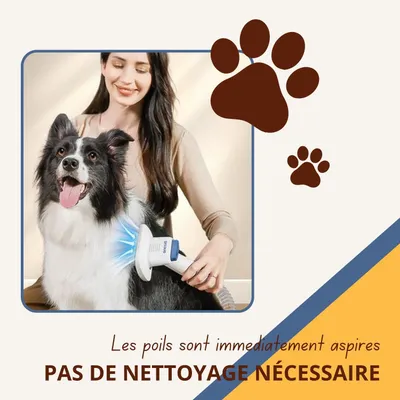 Oneisall Kyle Kit de toilettage pour chien 8 en 1 (2.5litres)