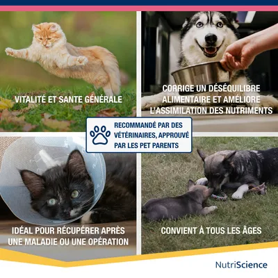 NutriScience  RevitalAid liquide