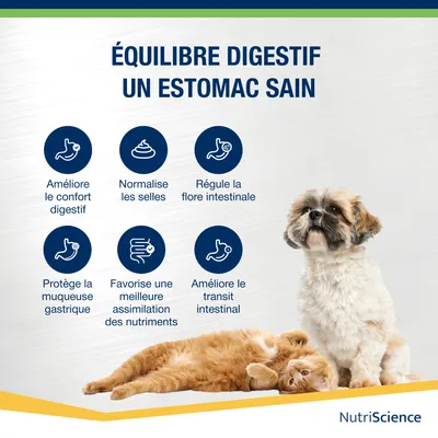 NutriScience Stomax Poudre