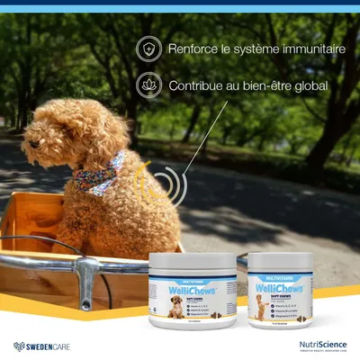 NutriScience WelliChews Multivitamines chien