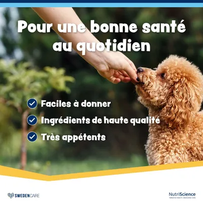 NutriScience WelliChews Multivitamines chien