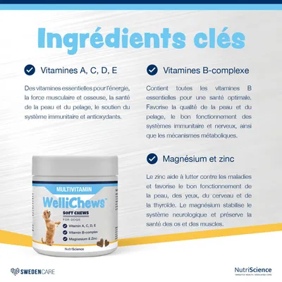 NutriScience WelliChews Multivitamines chien
