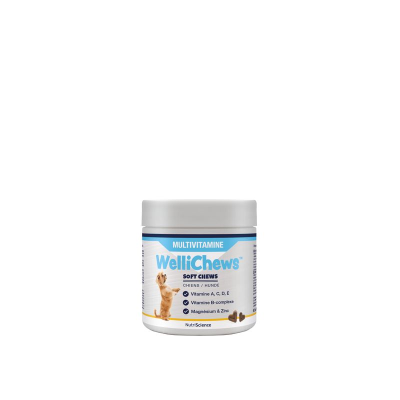 NutriScience WelliChews Multivitamines chien