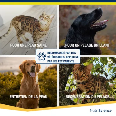 NutriScience OmégaAid liquide