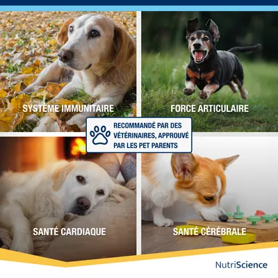 NutriScience SeniorAid liquide