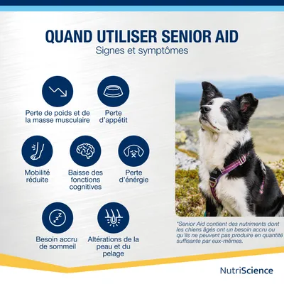 NutriScience SeniorAid liquide
