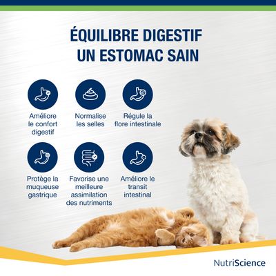 NutriScience Stomax Poudre