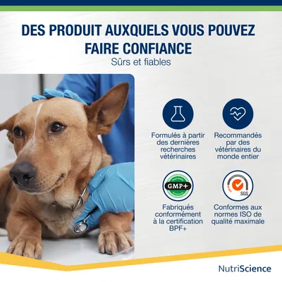 NutriScience Stomax Poudre