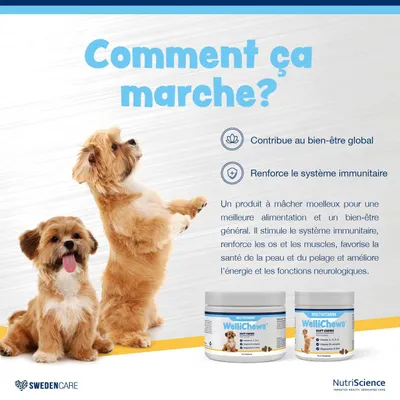 NutriScience WelliChews Multivitamines chien