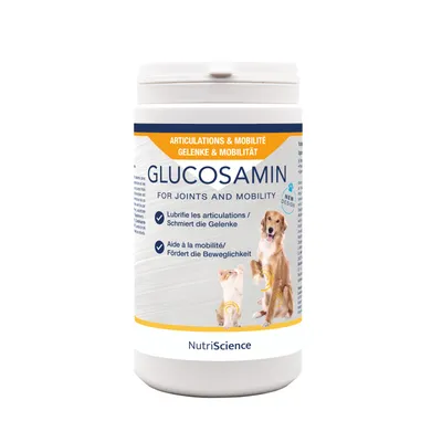 NutriScience Gluccosamine poudre