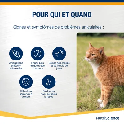 NutriScience ArthiAid Oméga Gel