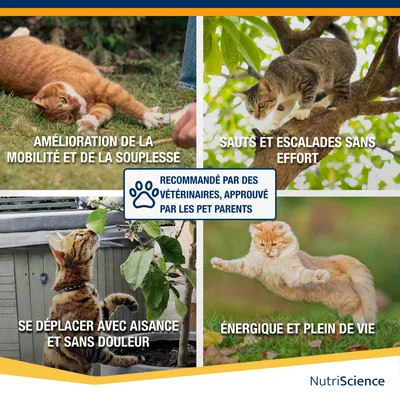 NutriScience ArthiAid Oméga Gel