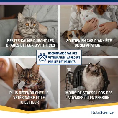 NutriScience KalmAid Gel