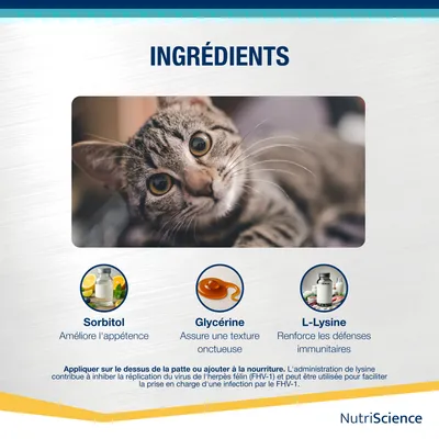 NutriScience LysineAid Gel NutriScience LysineAid Gel