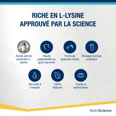 NutriScience LysineAid Gel NutriScience LysineAid Gel
