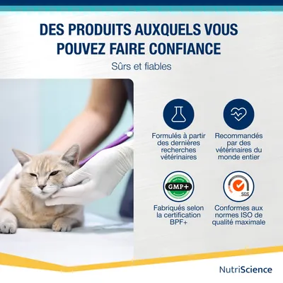 NutriScience LysineAid Gel NutriScience LysineAid Gel