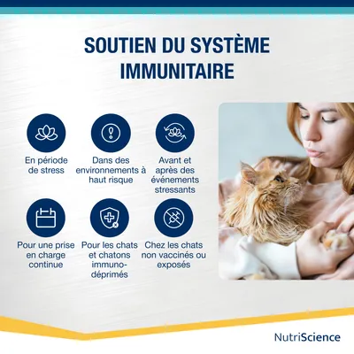 NutriScience LysineAid Gel NutriScience LysineAid Gel