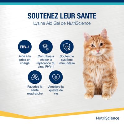 NutriScience LysineAid Gel