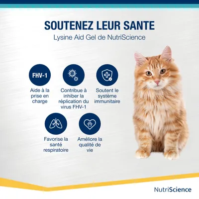 NutriScience LysineAid Gel NutriScience LysineAid Gel