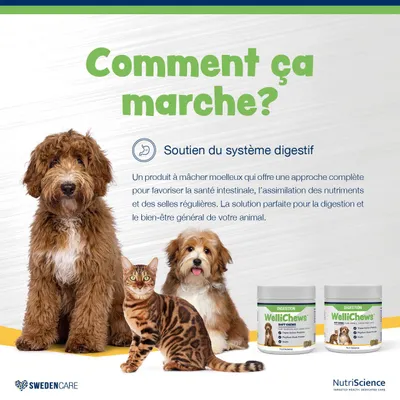 NutriScience WelliChews Digestion