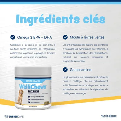 NutriScience WelliChews Senior