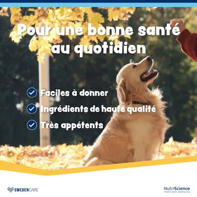 NutriScience WelliChews Senior
