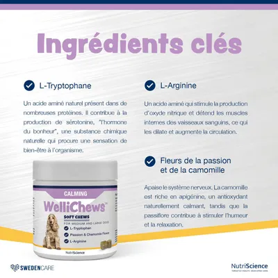 NutriScience WelliChews Calmant