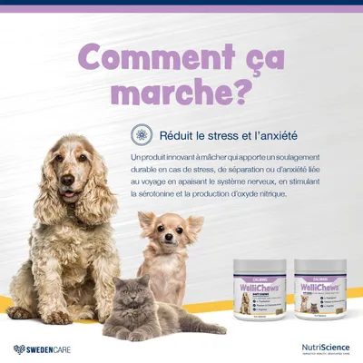 NutriScience WelliChews Calmant