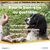 NutriScience WelliChews Articulations