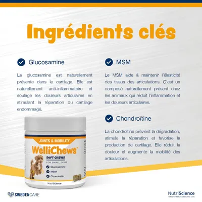 NutriScience WelliChews Articulations