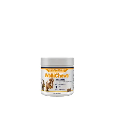 NutriScience WelliChews Articulations NutriScience WelliChews Articulations