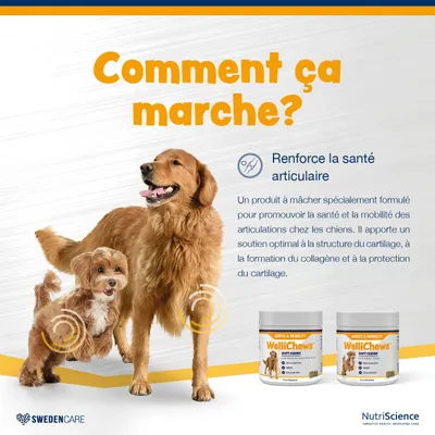 NutriScience WelliChews Articulations