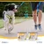 NutriScience WelliChews Articulations