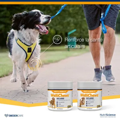 NutriScience WelliChews Articulations